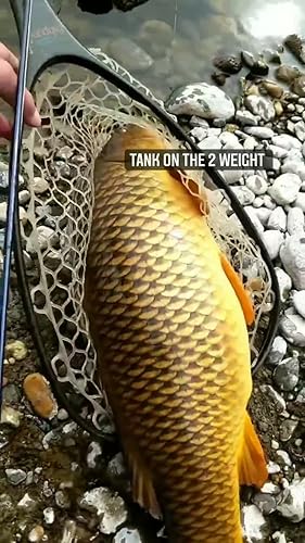 Amazon | M MAXIMUMCATCH Maxcatch Performance Nymph フライ